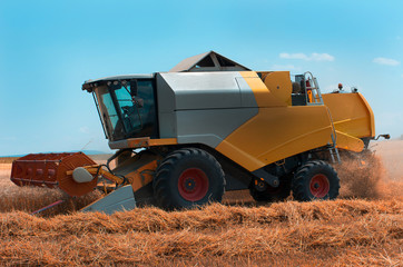 Grain harvesting with combine harvester