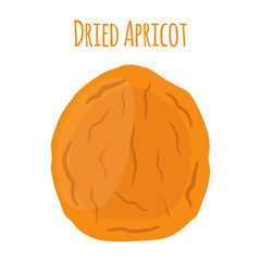 Dried apricot in cartoon flat style, vegetarian snack
