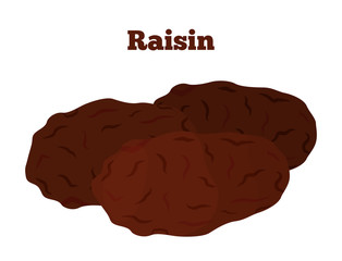 Dried fruit - raisin. Made in cartoon flat style. Healthy snack