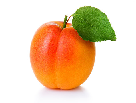 Ripe apricot fruit with green leaf isolate on white