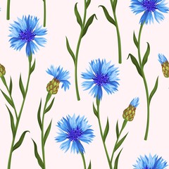 Seamless pattern with colorful cornflowers - obrazy, fototapety, plakaty