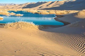 Fotobehang beautiful morning landscape of desert with little oasis    © photollurg