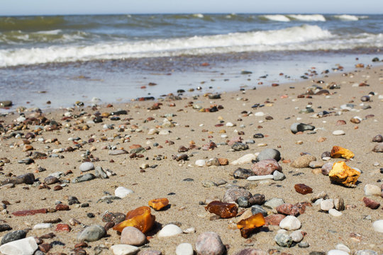 Some pieces of amber found on the Baltic seashore