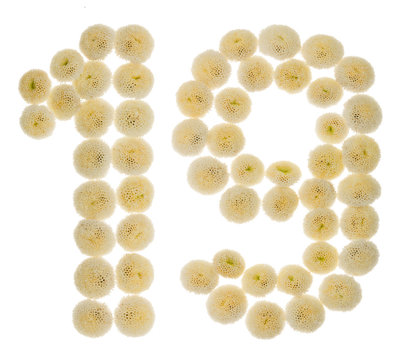 Arabic numeral 19, nineteen, from cream flowers of chrysanthemum, isolated on white background