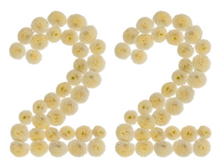 Arabic numeral 22, twenty two, from cream flowers of chrysanthemum, isolated on white background