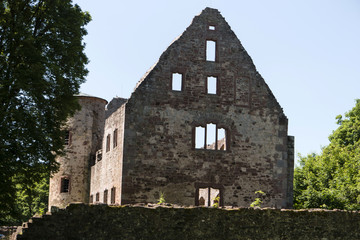 Fototapeta na wymiar Ruine Schönrain im Spessart
