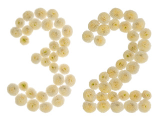 Arabic numeral 32, thirty two, from cream flowers of chrysanthemum, isolated on white background