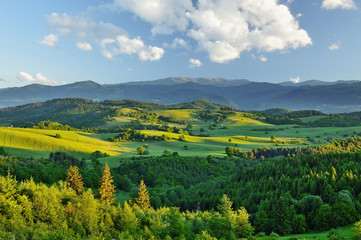 Spring forest and meadows landscape in Slovakia. Morning scenery near village Poniky. Fresh trees...