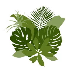 Poster de jardin Monstera Composition verte avec des feuilles tropicales unies