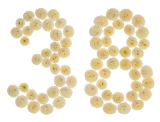 Arabic numeral 38, thirty eight, from cream flowers of chrysanthemum, isolated on white background