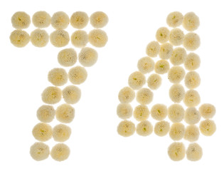 Arabic numeral 74, seventy four, from cream flowers of chrysanthemum, isolated on white background
