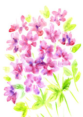 Watercolor vintage summer blooming bouquet