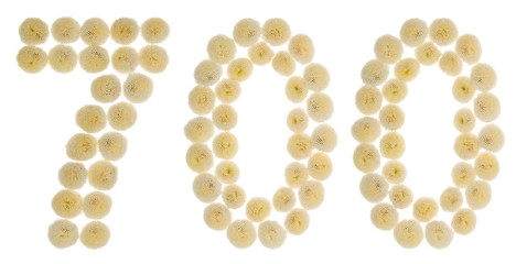 Arabic numeral 700, seven hundred, from cream flowers of chrysanthemum, isolated on white background