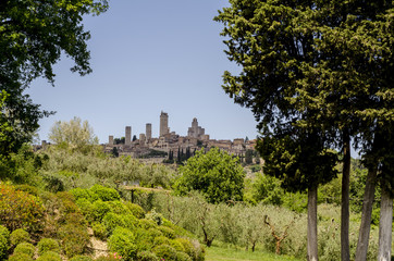 Fototapeta na wymiar San Gimignano.