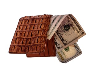 Purse of crocodile leather brown money money dolar currency on isolated on white background