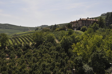 Naklejka premium Toskana im Sommer