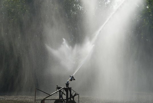 Irrigatore in azione