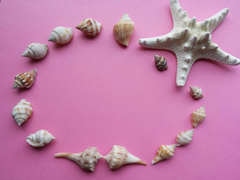 Greeting card with seashells on pink background