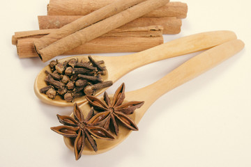 Warming spices - cinnamon, star anise, cloves.