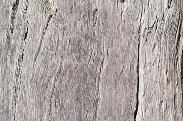 Rustikale Holz Textur / Rustikaler grau brauner Holz Hintergrund mit Struktureffekt.