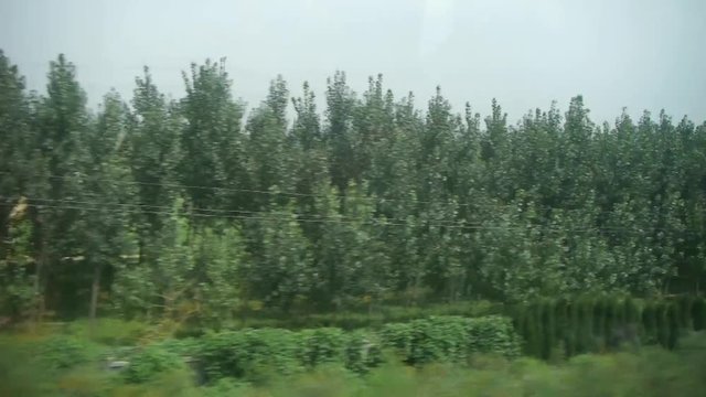 Villages plains tree crops farmland in rural countryside.Speeding train travel,scenery outside window.