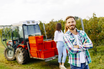 People harvesting grapes in the vineyard in autumn