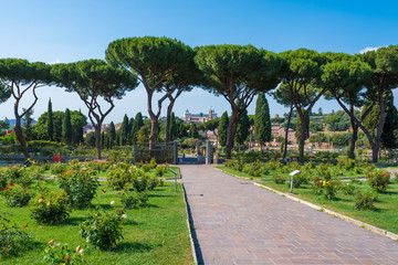 Rome (Italy) - The touristic Municipal Roses, on the Aventino hill in the center of Rome; open during the spring and summer, hosts many species of roses.