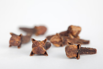 Dry cloves on white background, closeup. Cloves improve digestion.