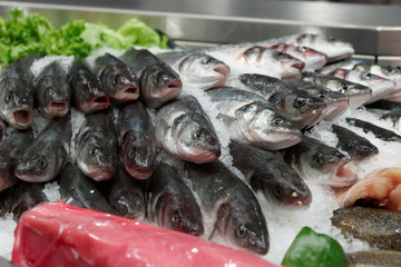 Great variety of fish in food store
