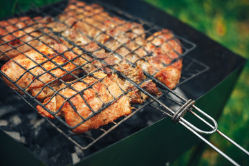 Barbecue skewers meat kebabs on flaming grill close up. Delicious backround
