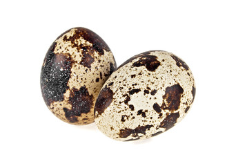 Fototapeta premium Group of quail eggs isolated on a white background