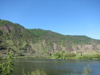 Calmont - steilster Weinberg