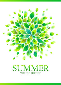 Green vector leaves splash vector summer poster template