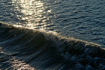 Sunlit seascape with waves