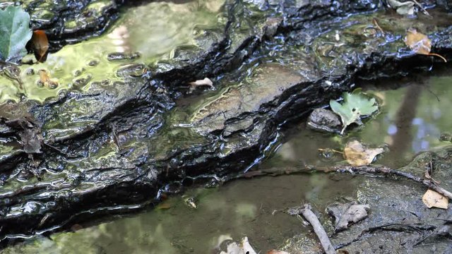 Water running on stone, babbling brook