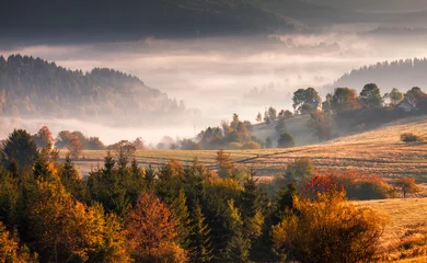 Zelfklevend Fotobehang Autumn landscape, misty morning in the region of Kysuce, Slovakia, Europe. © Viliam