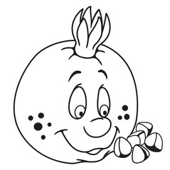 Fresh garnet cartoon