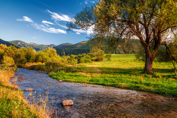 Sunny landscape with stream running from mountains and blue sky with clouds in the background, national park Mala Fatra, Slovakia.