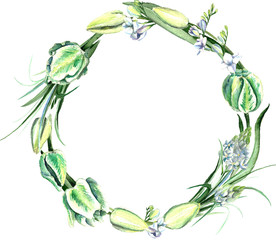 Watercolor hand drawn white and green parrot tulips, freesia, ornithogalum, lilly leaves wreath. Decorative floral composition for wedding design. Round frame for your design.