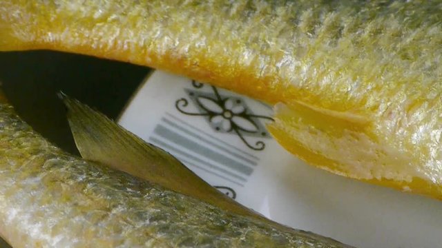 Delicious Croaker fish within dial plate.fisheries.