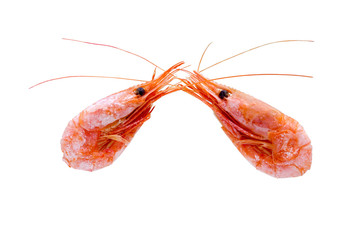 Shrimp isolated