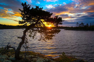 Sunrise. Beautiful sky. Wild nature. Karelia. Ladoga lake.