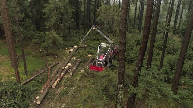 AERIAL, CLOSE UP: Flying above logging truck harvesting, lifting pile of delimbed cut tree trunks and logs on loaded tractor. Forwarder loading harvest for the transportation from stumps to sawmill