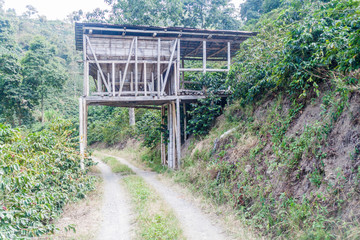Fototapeta premium Coffee loading facility at a plantantion near Manizales, Colombia