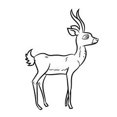  Antelope Cartoon - Line Drawn Vector
