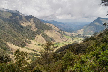 Fototapeta premium Cocora valley in Colombia