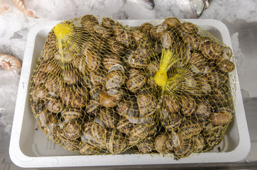 Fresh seafood on ice at the fish market