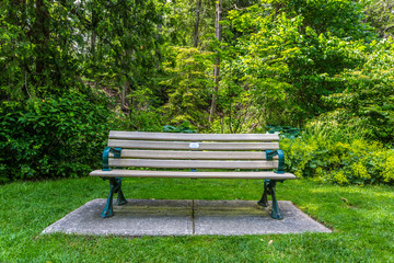 Fototapeta premium Bench in a green park 