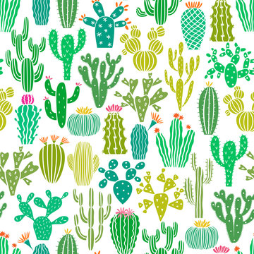 Vector cactus plant seamless pattern. Cacti flower background, print