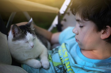teenage boy with cat napping in the garden in chaise lounge with book